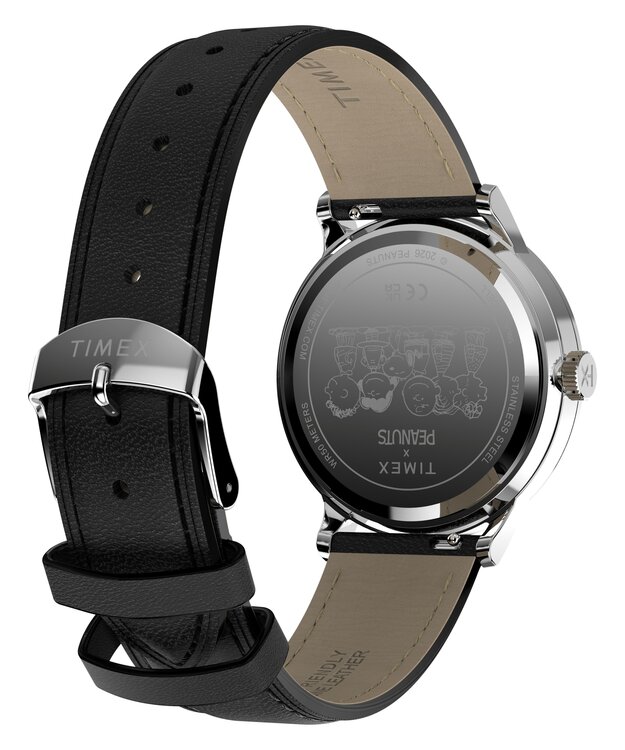 TW2Y85600-SILVER HODINKY Muži