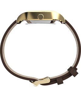 TW2Y84500UK-GOLD HODINKY – TIMEX Muži