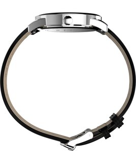 TW2Y99300QY-SILVER HODINKY – TIMEX Muži