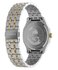 TW2Y91400UK-SILVER HODINKY Muži