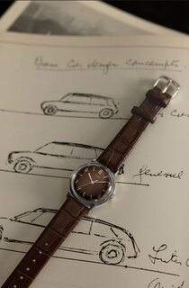 TIMEX – Marlin hodinky, Hnědá, Stříbrná barva 1