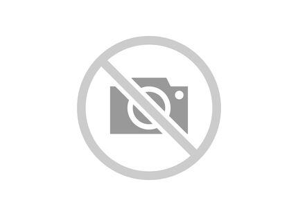 Utility kraťasy – Calvin Klein, Béžová barva Ženy